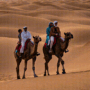 camel-ride-lemhamid-gif